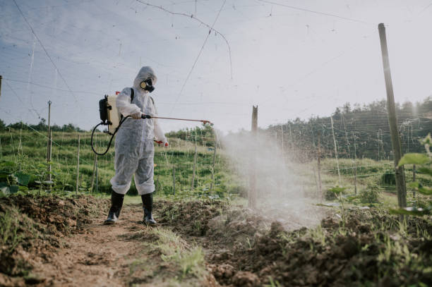 Best Termite Control Services  in Terrebonne, OR