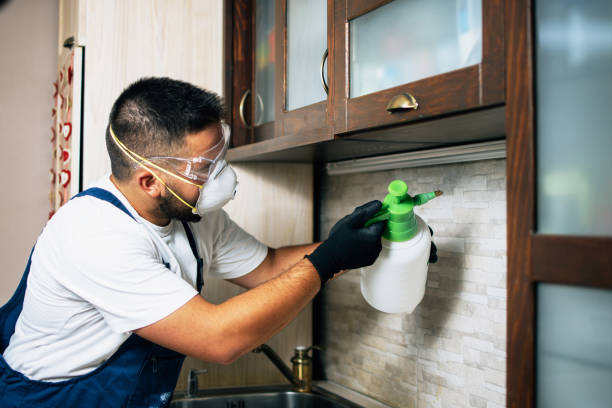 Best Wasp Removal Services  in Terrebonne, OR