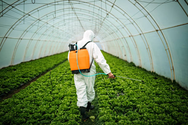 Best Pest Removal Services  in Terrebonne, OR