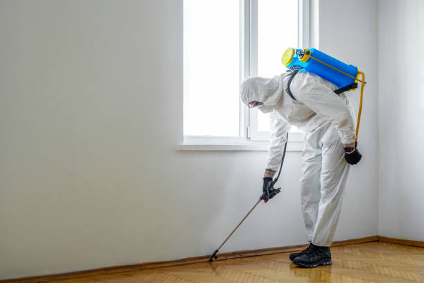 Best Flea Control Services  in Terrebonne, OR