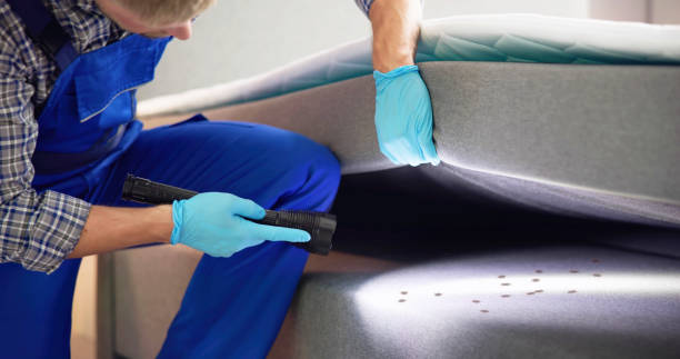 Trusted Terrebonne, OR Pest Control Experts