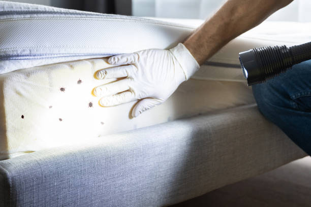 Best Affordable Pest Control Services  in Terrebonne, OR