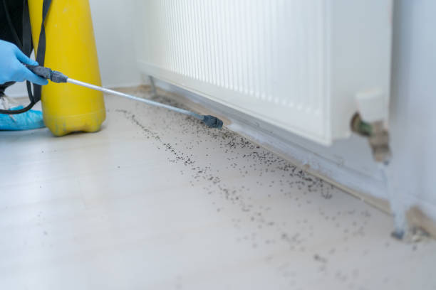 Pest Prevention Services in Terrebonne, OR