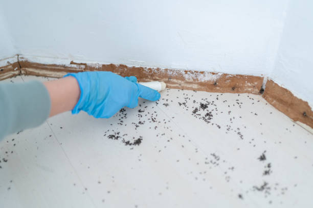 Best Pest Prevention Services  in Terrebonne, OR