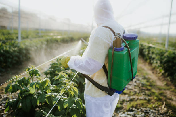 Best Bed Bug Extermination  in Terrebonne, OR